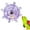 A, variant on Colorful Rotating Disc Toy for Exuberances Pet Bird Conures Lovebirds and Cockatiels to Keep Happy and Engages