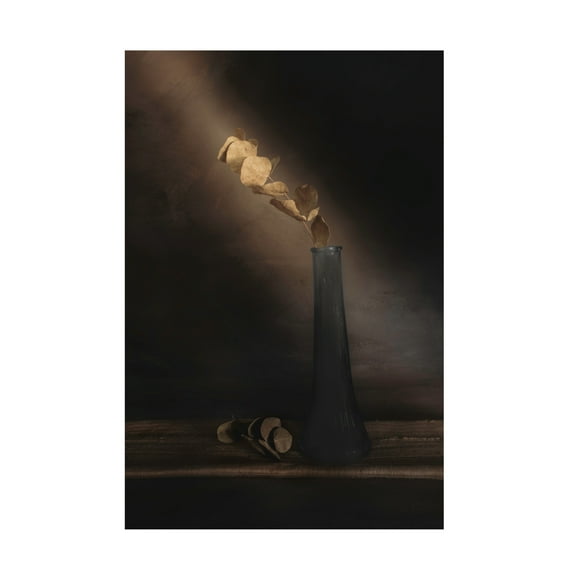 Canvas Wall Art - Cicek Kiral 'Partially Lighted' Wall Art for Living Room, Bedroom, or Office Décor by Trademark Fine Art - 12 x 19 Inches