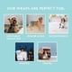 thumbnail image 5 of Pañales para Perros Simple Solution Lavables para Machos Talla Grande (11242), 5 of 7