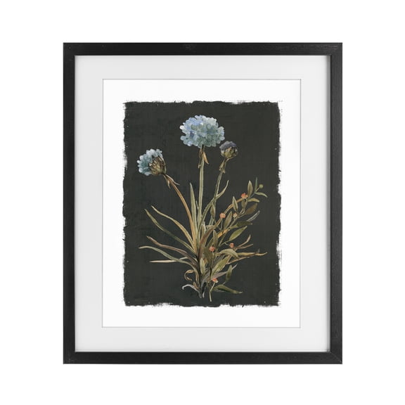 Stupell Industries Cerulean Bloom on Dark Green Black Framed Print Under Glass, design by Carol Robinson
