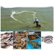 thumbnail image 3 of Red de pesca fundida a mano de estilo americano, red de malla de pesca de nailon, herramienta de pesca al aire libre, 3 of 8
