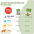 thumbnail image 6 of (Pack Of 6) Whimzees Chew Dog Dental Sticks Medium 14.8 Oz, 6 of 6
