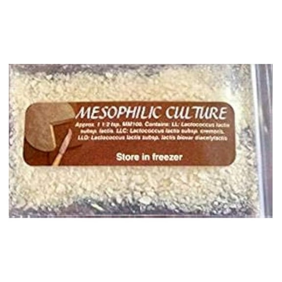 Cheese Making Culture, Mesophilic Culture - MD Culture (MM100 Comparable)