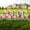 Rainbow Faux Glitter, variant on Vispronet Alphabet Yard Letter Sign Set – Includes All Letters – 26pcs Total – Includes One of Each Letter in Alphabet A-Z – Weather-Resistant Corrugated Plastic (Faux Glitter Rainbow)