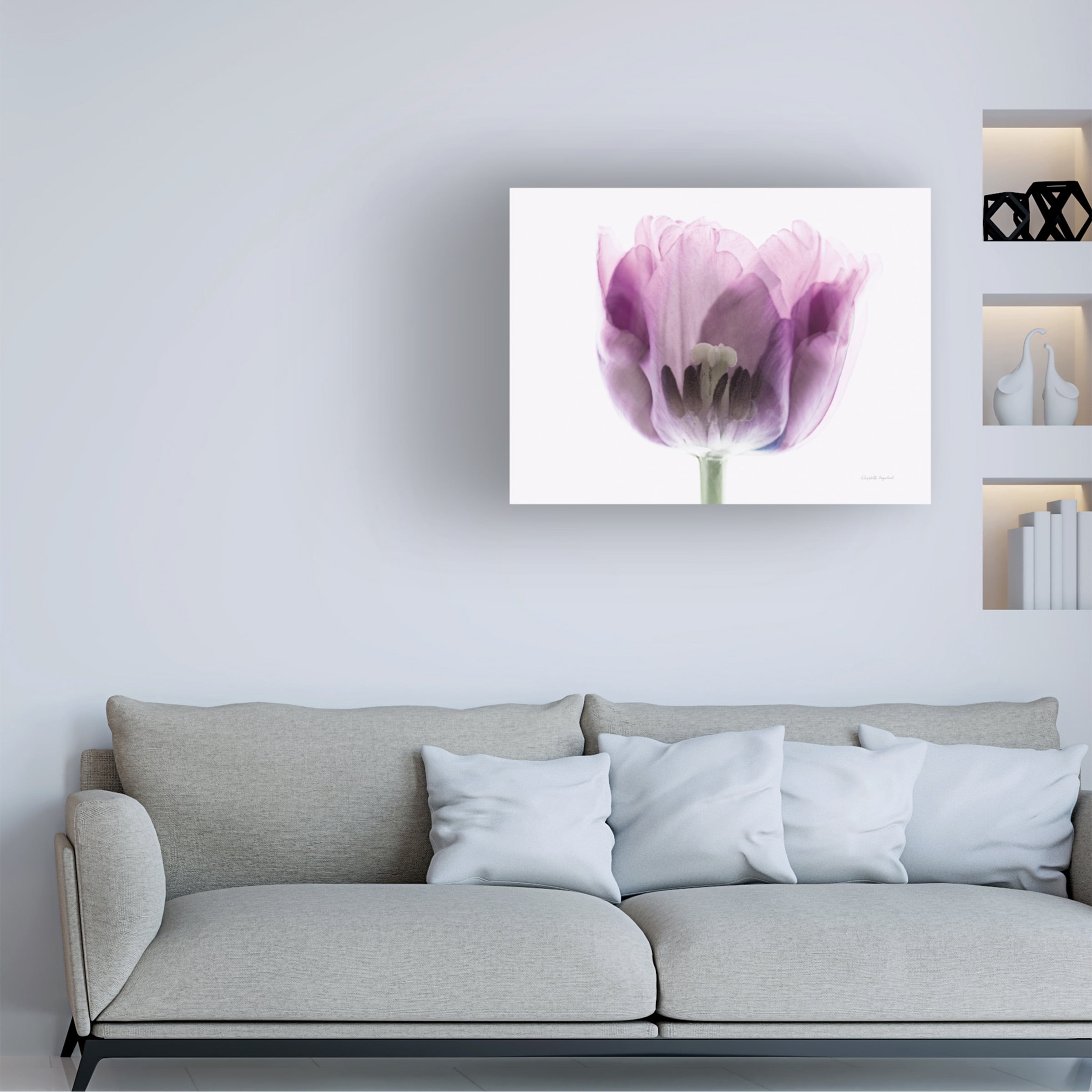 Elizabeth Urquhart 'Inside Out II' Canvas Art