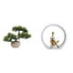 thumbnail image 1 of Colección De Bonsáis Artificiales, Plantas Artificiales, Macetas, Centros De Mesa, Figuritas De Niñas, Estatuas De Mujeres, Dormitorio, Regalo Para Lectores, Estantería, Decoración, 1 of 8