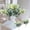 White, variant on Set of 2 Artificial Plants 13.8in Variegated Foliage Bush Red Yellow Green Leaves Plastic Sprigs Home Kitchen Wedding Party Garden Decor