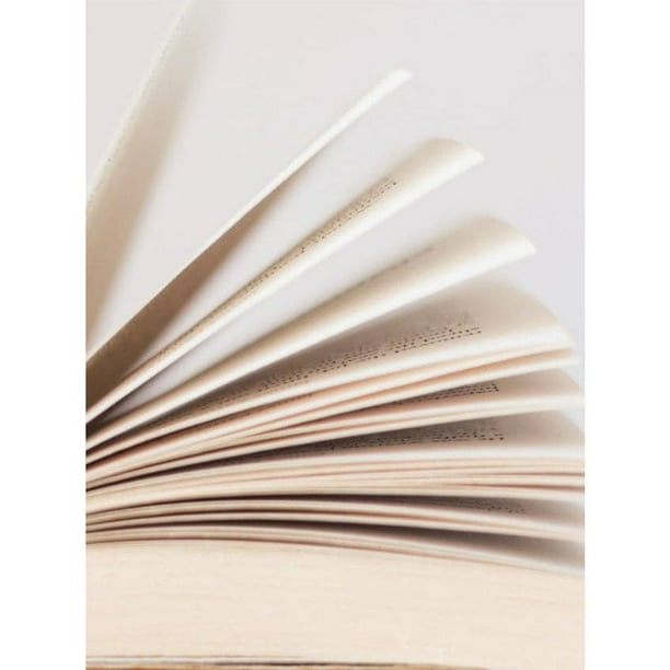 Rupi kaur collection books set (home body milk and honey the sun