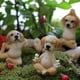 thumbnail image 5 of Juego de estatuillas de perro de Yoga, estatua de perro haciendo Yoga, decoración en miniatura para jardín, ventana, terraza, balcones, adorno de mesa, 5 of 13