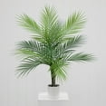 thumbnail image 4 of Mainstays 30"H Artificial Indoor Palm Tree in Plastic Vanilla Planter, 4 of 7