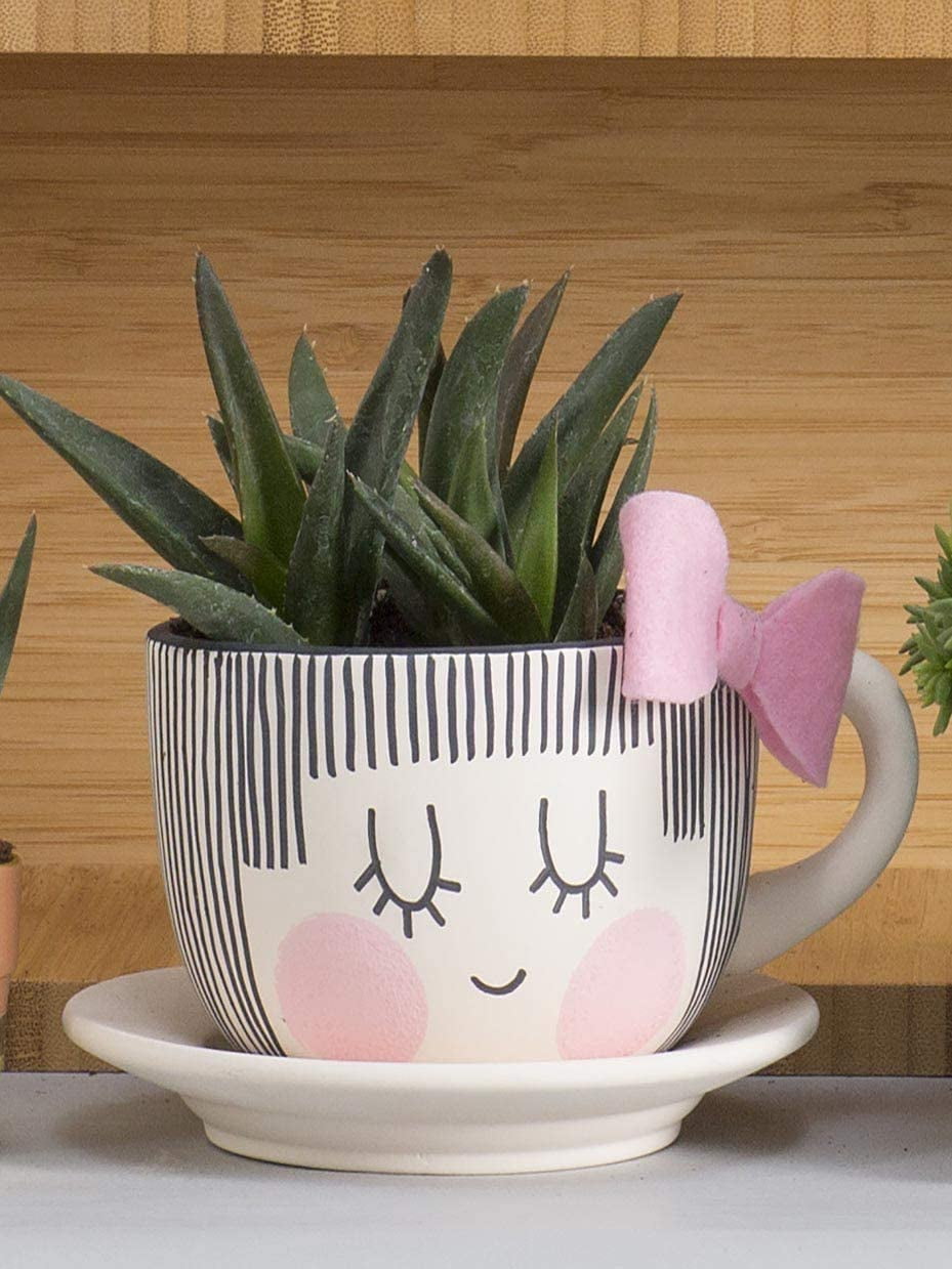 Fun Express 6 Pieces DIY Teacup Planter with Saucer, Ceramic Crafts and Kids Do it Yourself Projects