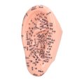thumbnail image 1 of Ear Acupuncture Model, Silicone Learning Ear Acupuncture Model Ergonomic Reflexology Tool  for, 1 of 7