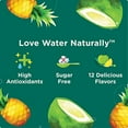 thumbnail image 3 of Stur - Coconut Pineapple, Natural Water Enhancer (5 Bottles, Makes 100 Flavored Waters) - Sugar Free, Zero Calories, Kosher, Liquid Drink Mix Sweetened with Stevia, 1.62 Fl Oz (Pack of 5), 3 of 3