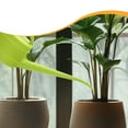 thumbnail image 1 of Regadera para interior y exterior, con caño largo y asas, 2,4 l, Verde, 1 of 8