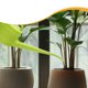 thumbnail image 1 of Regadera para interior y exterior, con caño largo y asas, 2,4 l, Verde, 1 of 8