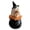 white, variant on Halloween Tiered Tray Decor, White Resin Ornament with Ghost Witch Silhouette, Indoor Outdoor Front Porch Holiday Table Accent Resin Ghost Witch Figurine