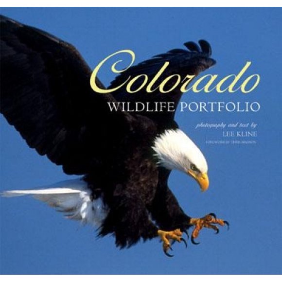 Colorado Wildlife Portfolio