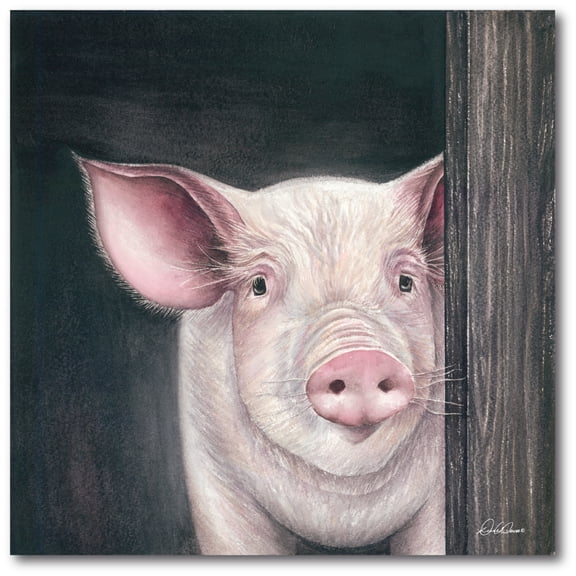 Courtside Market Farm Animal - Pig Gallery-Wrapped Canvas Wall Art, 16x16