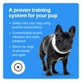 thumbnail image 5 of Halo Collar 3 - Wireless GPS Dog Fence & Training Collar with Real-Time Tracking, Sunburst, Medium/Large, 5 of 8