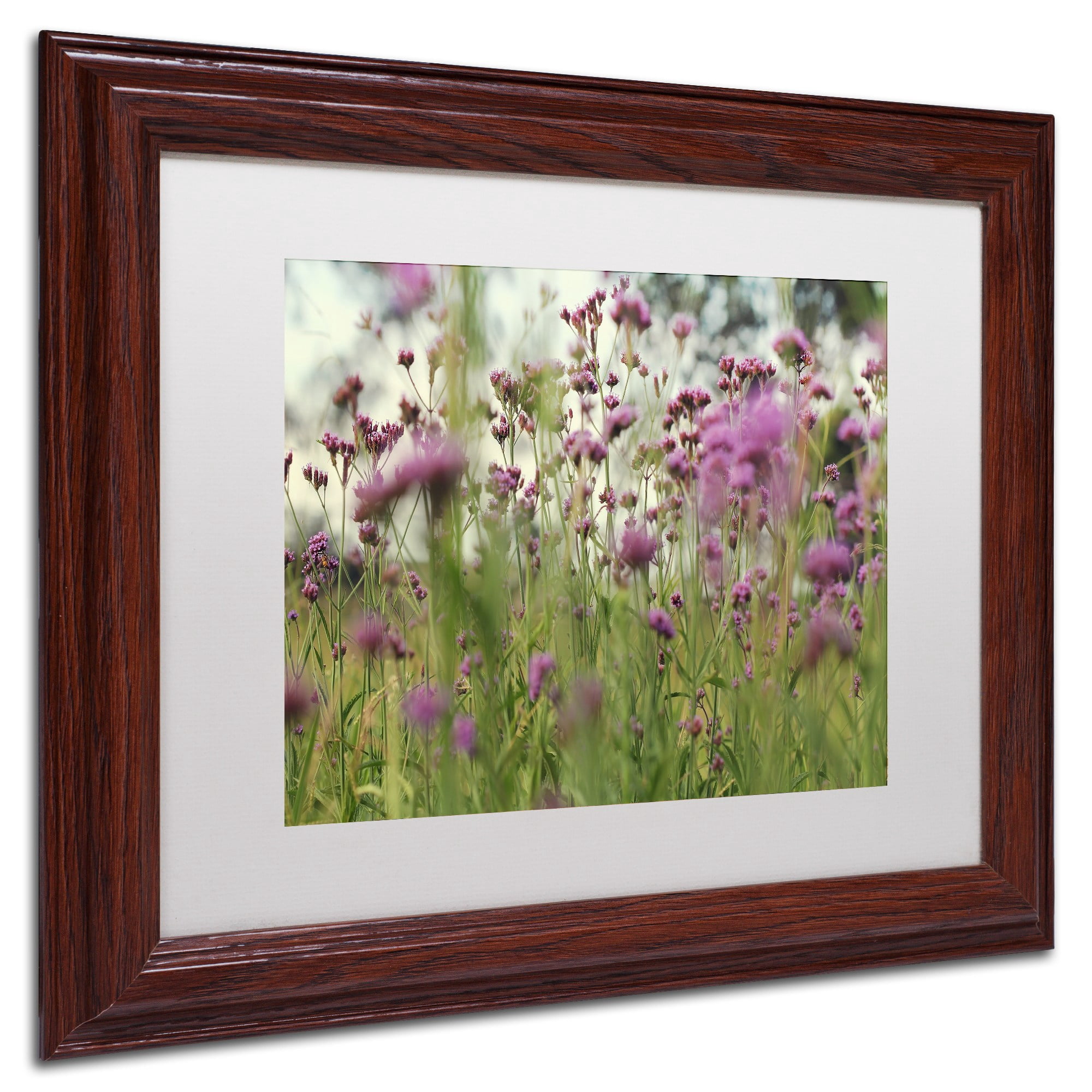 Trademark Fine Art "Field of Purple" Canvas Art by Beata Czyzowska Young, White Matte, Wood Frame