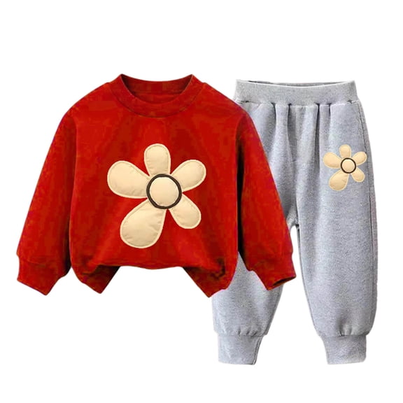 Povozer Girl Baby Clothes Toddler Fall Winter Outfits Girls Comfortable Warm Cute Flower Print Long Sleeved Sweatshirt Pants Casual 2pcs Set,Size 2-3 Years,Red