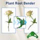 thumbnail image 5 of Pinza fija para plantas hidropónicas | Clip de crecimiento plástico ajustable | Apoyo para el entrenamiento de bajo estrés | No corrosivo | Azul Verde Naranja | 3,23x1,02x0,79 in | 1 Pack, 5 of 6