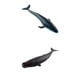thumbnail image 1 of Ballena Realista Animal Modelo Educación Suave Juguete para Baoblaze Figuras de ballenas realistas, 1 of 8