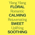 thumbnail image 4 of Plant Therapy Organic Ylang Ylang Complete Essential Oil 100% Pure, USDA Certified Organic, Undiluted, Natural Aromatherapy 10 mL (1/3 oz), 4 of 8