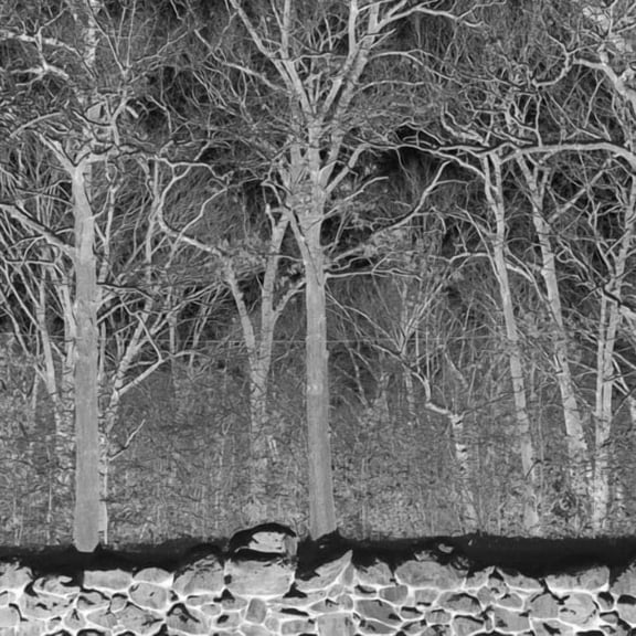 Pile - Sunshine & Balance Beams - Purple - Music & Performance - Vinyl