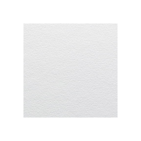 Canson Edition Art Board - 16" x 20", White