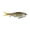 Golden Shiner, variant on Berkley PowerBait® Chop Block, 8 in, Chrome Gizzard