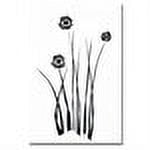 Trademark Art "White and Black Bunch" Canvas Wall Art by Kathie McCurdy