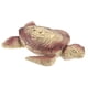 thumbnail image 5 of Figura de tortuga realista, adorno de tortuga de resina, figura de tortuga de resina, 5 of 5