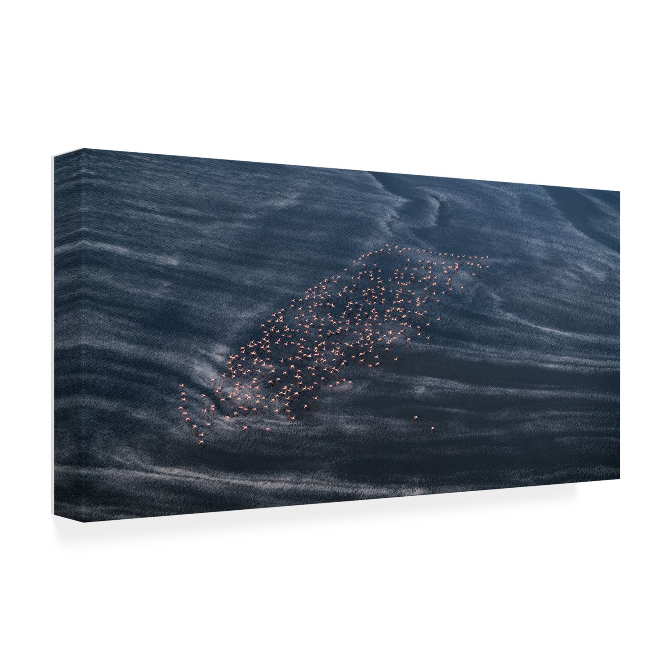 Canvas Wall Art - John Fan 'Wave Runner Ii' Wall Art for Living Room, Bedroom, or Office Décor by Trademark Fine Art - 24 x 12 Inches
