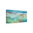 thumbnail image 2 of Trademark Fine Art 'Tide Pool' Canvas Art by Sheila Finch, 2 of 4
