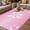 Pink, variant on Valentine's Day Outdoor Rug for Patio/Deck/Porch, Non-Slip Large Area Rug 3 x 5 Ft, Pink Bowknot Ribbon on Black Mother's Day Indoor Outdoor Rugs Washable Area Rugs, Camping Rug Carpet Runner