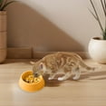 thumbnail image 4 of Gytml Plastic Dog Bowls,Food Dishes & Water Bowl For Dogs, Cats Or Other Small Animals Yellow 18cm, 4 of 6