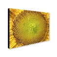 thumbnail image 2 of Kurt Shaffer 'Cosmic Patterns in Nature' Canvas Art 18 x 24, 2 of 3