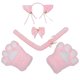 thumbnail image 1 of Juego de 5 piezas de disfraz de gato: orejas de gato y collar de cola, guantes de 2 patas para accesorios de disfraces de Halloween, 1 of 5