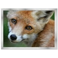 thumbnail image 5 of 26x38 Jigsaw Puzzle Frame Kit - Kit Includes Puzzle Glue Sheets, Silver Wood Puzzle Frame, UV, 5 of 8