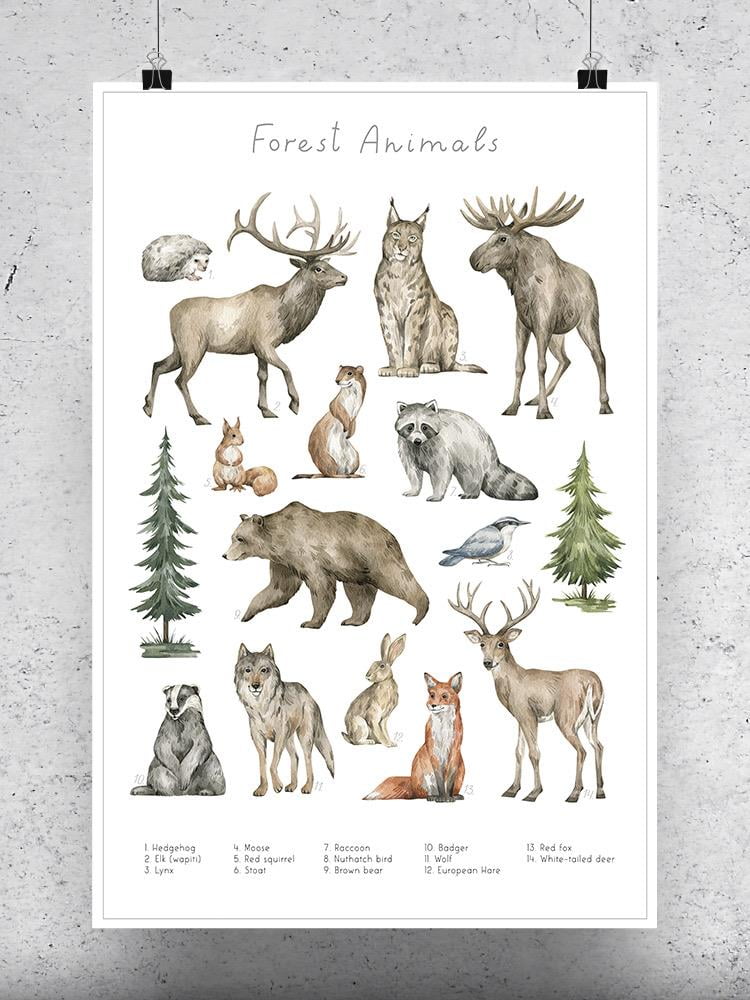 Poster animals in the forest