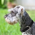 thumbnail image 3 of 12pcs Reflective Dog Collar, Breathable Nylon Pet Collar Adjustable, Suitable, 3 of 5