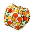 thumbnail image 1 of Pañales reutilizables con diseño de ardilla, lavables y con estampado de frutas para cobayas, tamaño pequeño Naranja, 1 of 9
