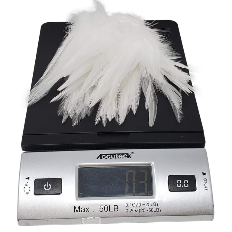 Creative Angler Saddle Hackle for Fly Tying/Tying Flies (White) 