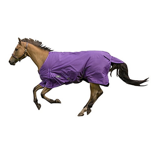 50G Fill Winter Turnout Horse Rugs 600D Outdoor COMBO Full Neck Black/Purple 