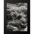 thumbnail image 2 of Geyman, Vitaly 14x18 Black Modern Framed Museum Art Print Titled - Japanese Park I BandW, 2 of 5