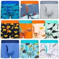 thumbnail image 1 of BIG ELEPHANT Ropa Interior para Niño Pequeño, Calzoncillo de Algodón Suave Ropa Interior para Niño Pequeño, Paquete de 10 (4T-9Y), 1 of 11