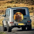 thumbnail image 4 of Kdxio Hawaiian Style Guinea Pig for Tire Cover Wheel Protectors Tyre Covers Weatherproof Wheel Covers Universal Fit for Trailer Rv SUV Truck Camper Travel Trailers 14 inch, 4 of 5