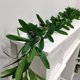 thumbnail image 5 of Hojas de olivo artificiales, imitación de caña de olivo, decoración navideña para bodas y hogar, decoración colgante de hojas de olivo, decoración con plantas artificiales, suministros para, 5 of 7