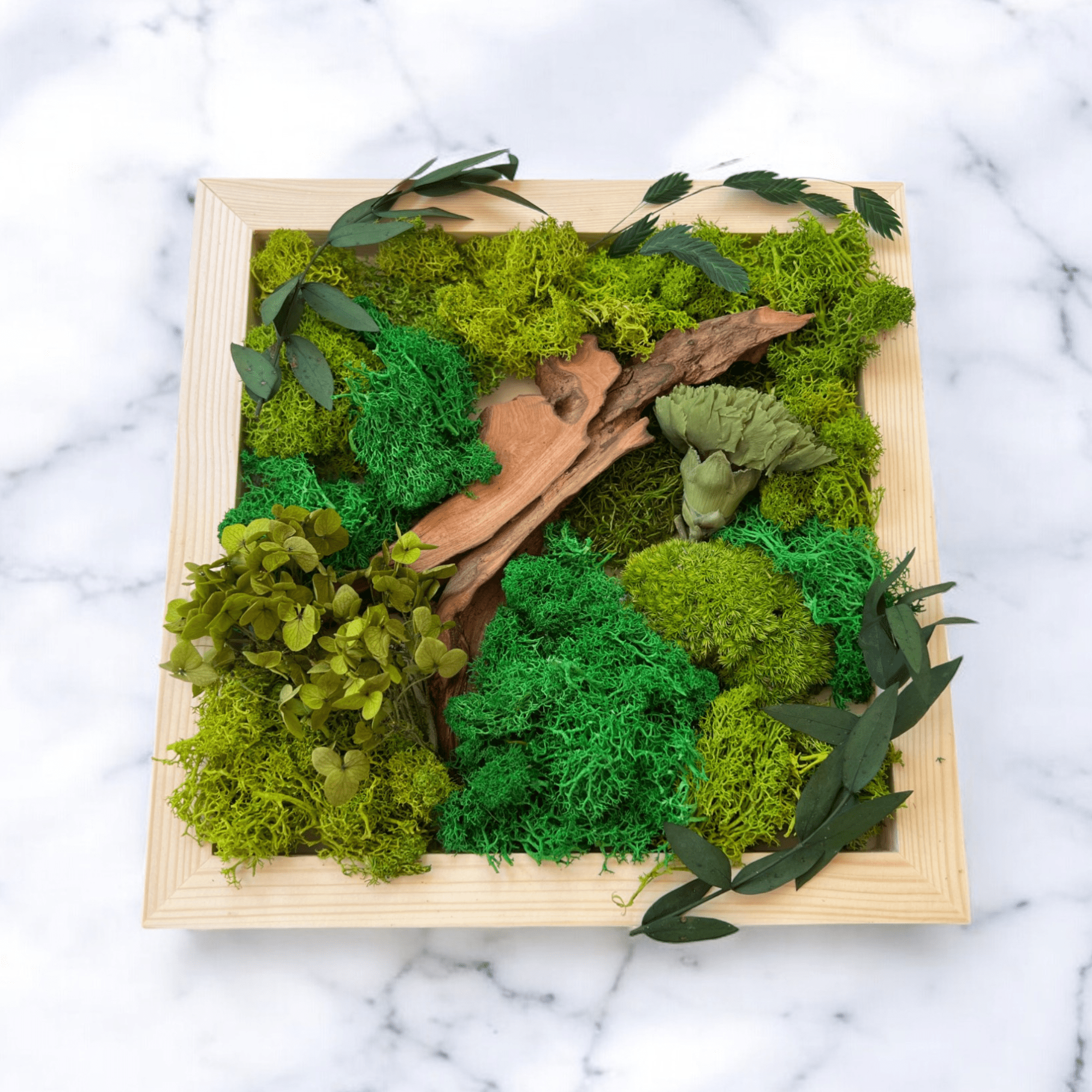 DIY Moss Wall Art Kit, Craft Project, Natural Gift, 10"